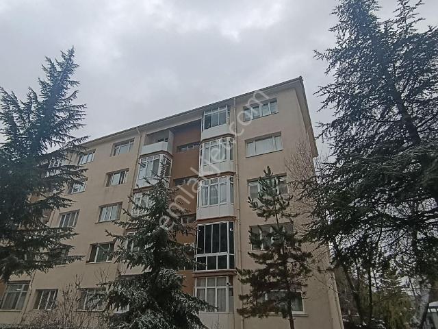 Odunpazari, Eskişehir içerisinde kiralık mülk