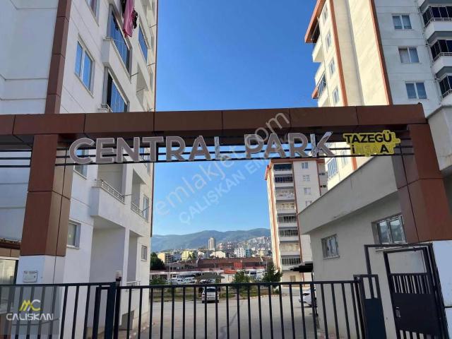 Tokat Merkez, Tokat içerisinde kiralık mülk