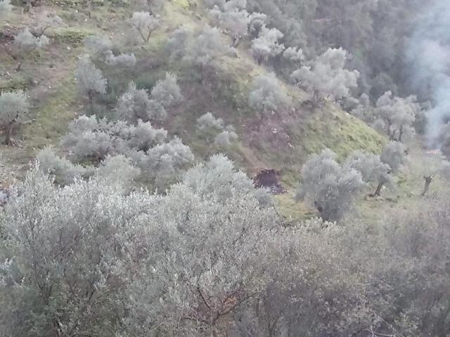 Yenipazar, Aydin içerisinde satılık mülk