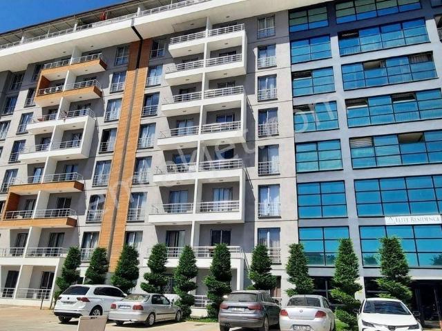 Tokat Merkez, Tokat içerisinde kiralık mülk
