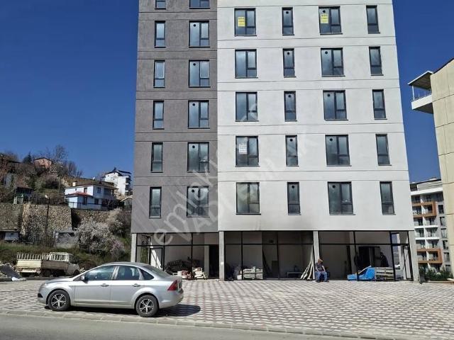Tokat Merkez, Tokat içerisinde satılık mülk