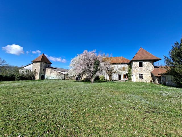 Château vente à Chambéry, Yenne