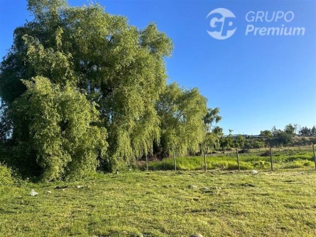 Yerbas Buenas, Santa ana de queri