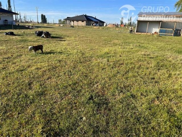 Yerbas Buenas, Santa ana de queri