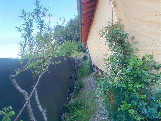 Yerbas Buenas, Yerbas Buenas