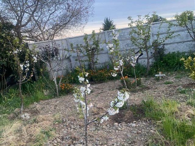 Yerbas Buenas, Yerbas Buenas