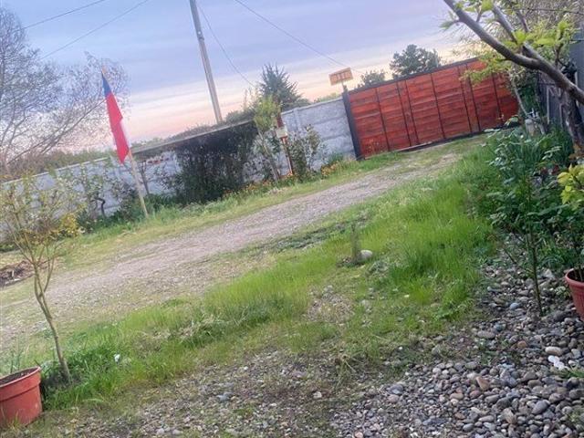 Yerbas Buenas, Yerbas Buenas