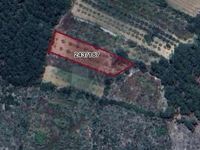 Muğla içerisinde satılık Arsa