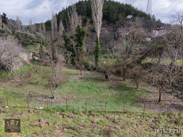 Muğla içerisinde satılık Arsa