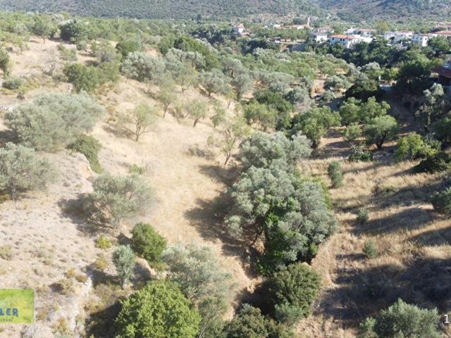 Datça, Muğla içerisinde satılık Arsa