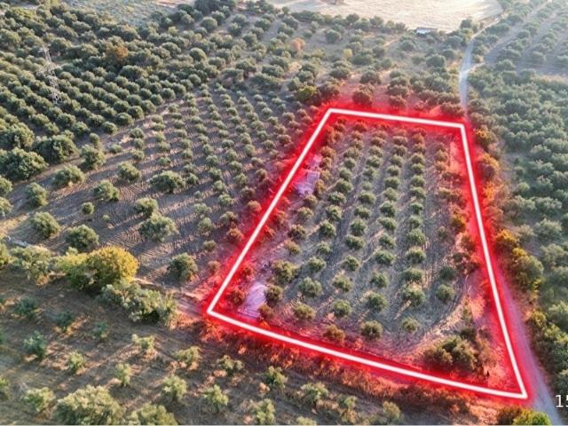 Bergama, İzmir içerisinde satılık Arsa