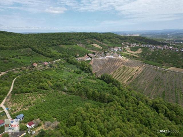 Söğütlü, Sakarya içerisinde satılık mülk