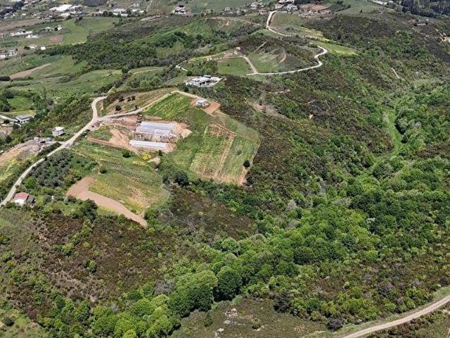 Termal, Yalova içerisinde satılık mülk