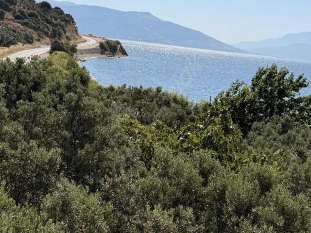 Armutlu içerisinde satılık mülk