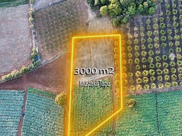 İznik, Bursa içerisinde satılık Arsa