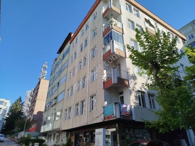 İlkadim, Samsun içerisinde kiralık mülk