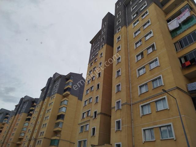 Kuzey Yıldızı Mahallesi, Canik içerisinde kiralık mülk