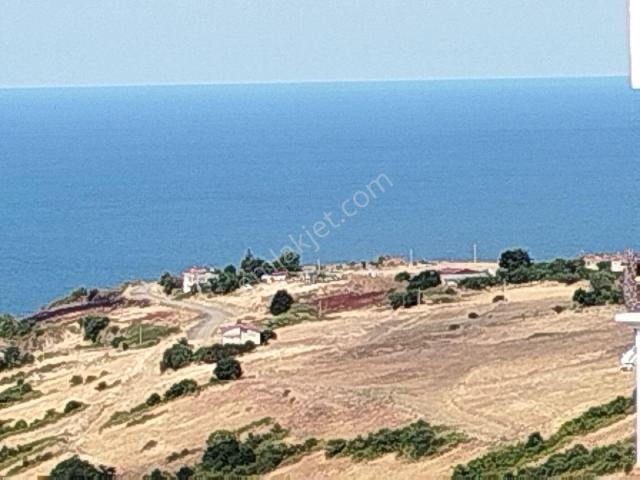 Canik, Samsun içerisinde satılık mülk