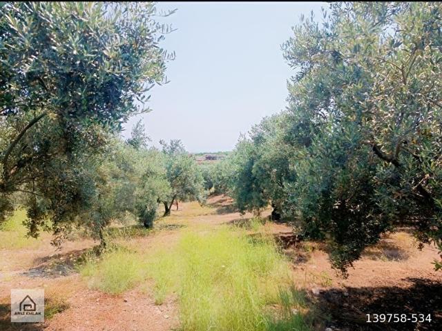 Dörtyol, Hatay içerisinde satılık mülk