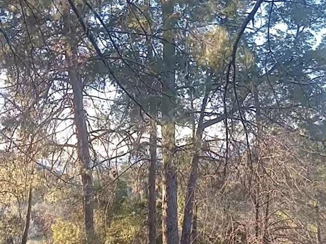 Fethiye, Muğla içerisinde satılık Arsa