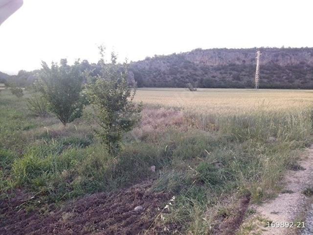 Gölpazari, Bilecik içerisinde satılık Arsa