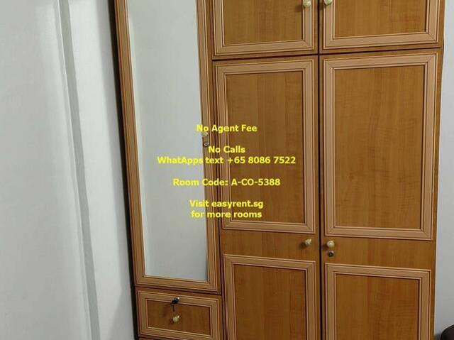 Room for rent