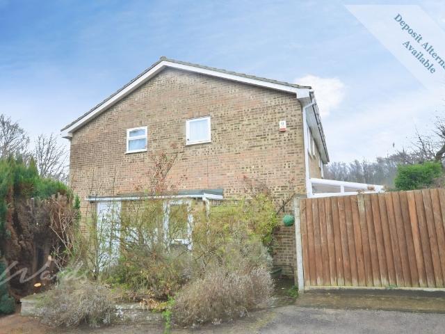 House for rent in Westfield Sole, Midway