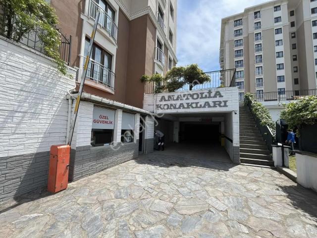 Ordu içerisinde kiralık mülk