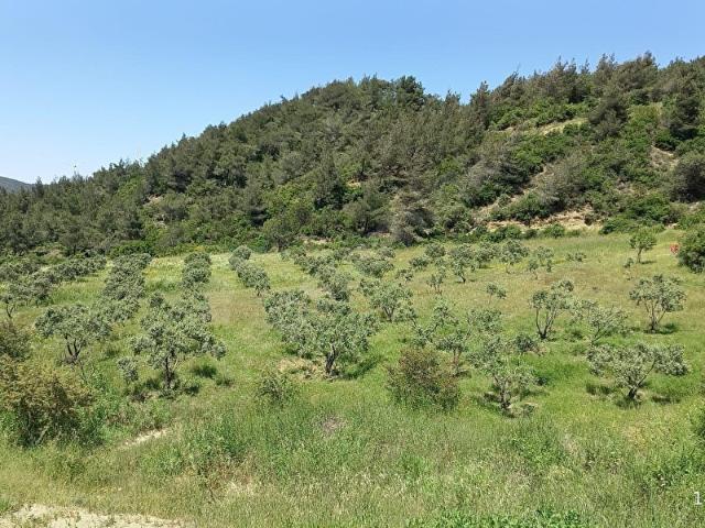 Hatay içerisinde satılık mülk