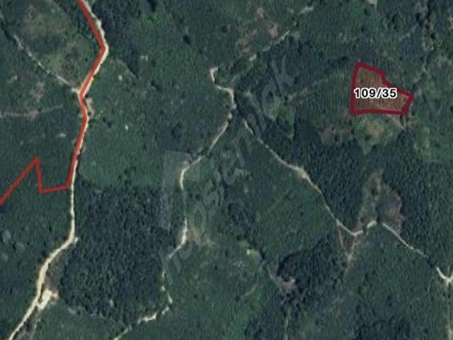 Yiğilca, Düzce içerisinde satılık Arsa