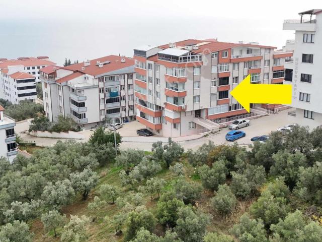 Armutlu, Yalova içerisinde satılık mülk