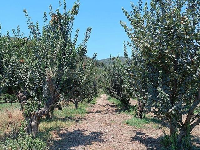 Osmangazi, Bursa içerisinde satılık Arsa