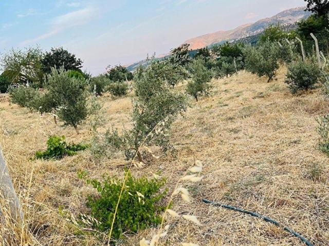 Kahramanmaraş içerisinde satılık Arsa