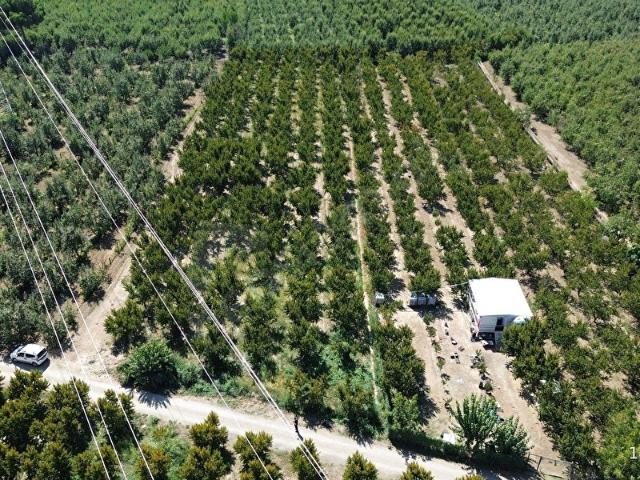 Yildirim, Bursa içerisinde satılık mülk