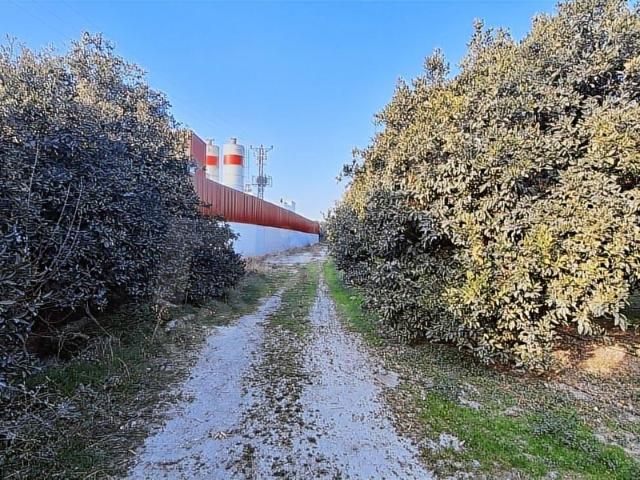 Erzin, Hatay içerisinde satılık Dükkan