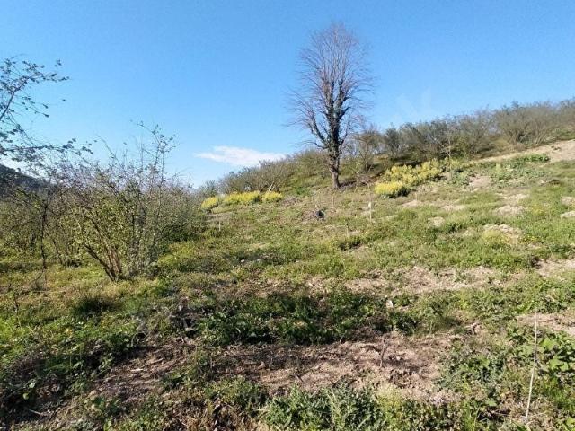 Akçakoca, Düzce içerisinde satılık Arsa