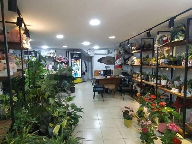 Akçakoca, Düzce içerisinde satılık mülk