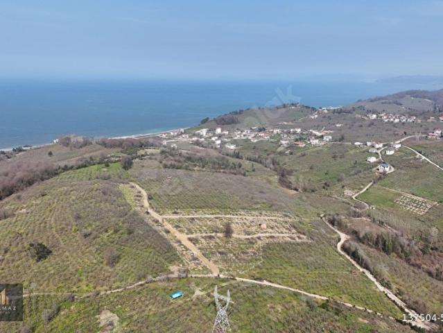 Akkaya, Akçakoca içerisinde satılık Arsa
