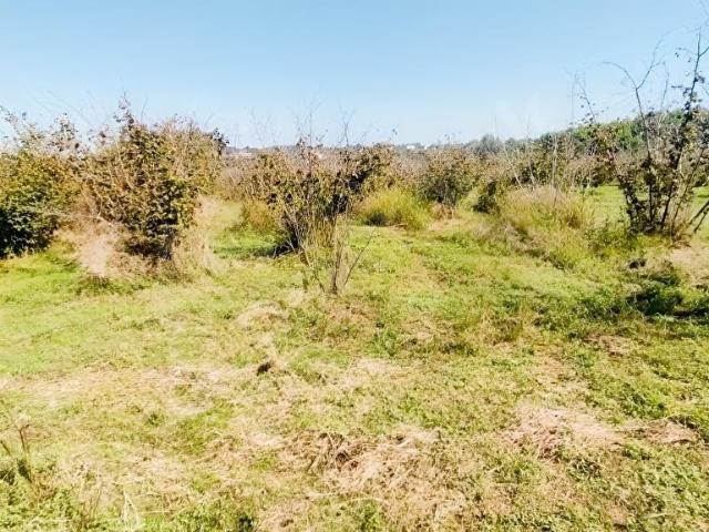 Akçakoca, Düzce içerisinde satılık Arsa