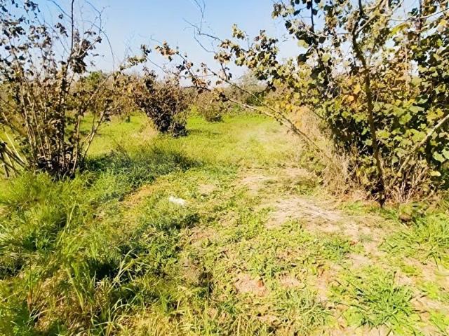 Akçakoca, Düzce içerisinde satılık Arsa