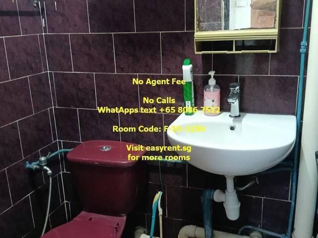 Room for rent