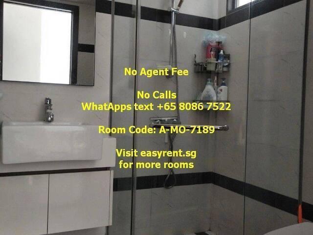 Room for rent