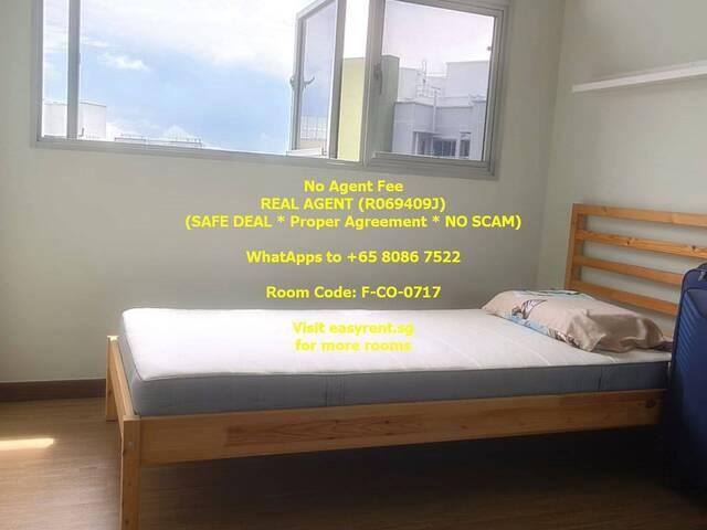Room for rent