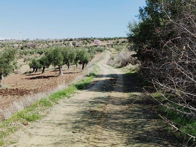 Musabeyli, Kilis içerisinde satılık mülk