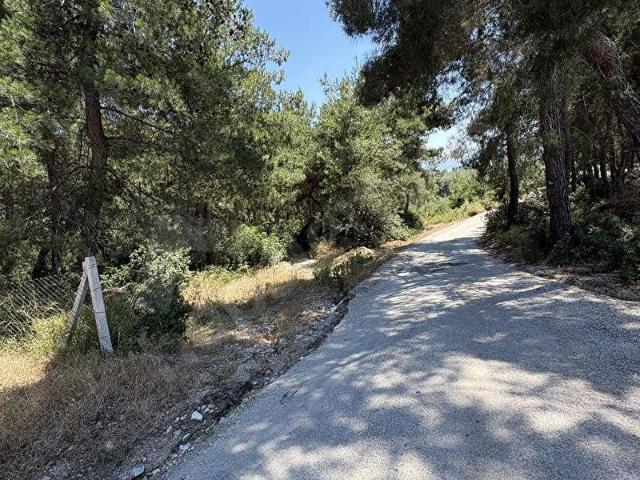 Torbali, İzmir içerisinde satılık Arsa