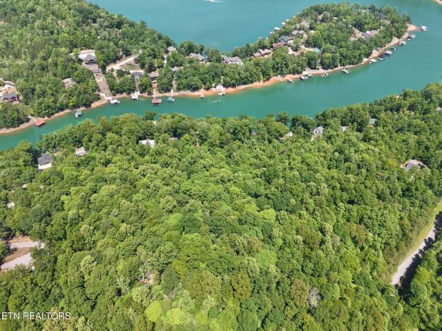 Land for sale in Yoakum Hollow, Jacksboro