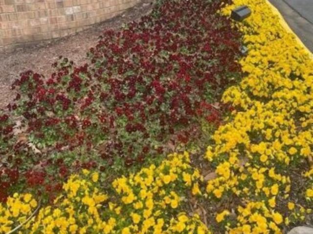 Condo for sale in Alexandria