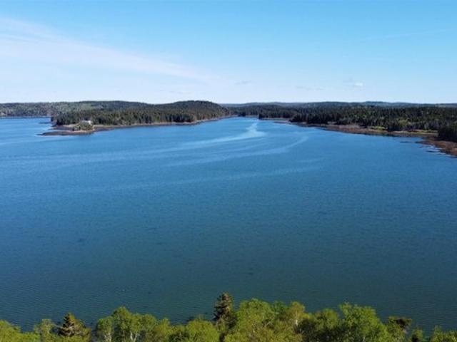 Land for sale in Machiasport, Maine