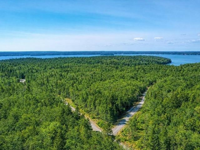 Land for sale in Machiasport, Maine