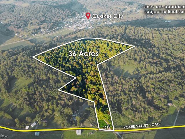 Land for sale in Quaker City, Guernsey County